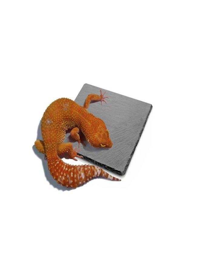 HALONTIN Reptile Basking Platform Rock Tortoise Habitat Accessories Slate Rocks for Reptiles Food Dish Feeding Bowl for Crested Gecko Snake Frog Lizard - Image 1
